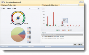 Xcelsius Dashboard